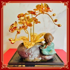 Lan vàng Phú Quý mini - LVMN06