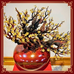 Mai Vàng Phú Quý - MVPQ02