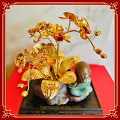 Lan vàng Phú Quý mini - LVMN06