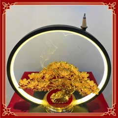 Mai Vàng Phú Quý - MVPQ024