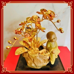 Lan vàng Phú Quý mini - LVMN09