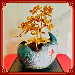 Lan vàng Phú Quý mini - LVMN07