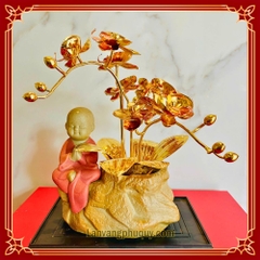 Lan vàng Phú Quý mini - LVMN08