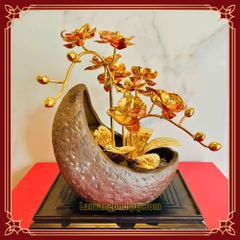 Lan vàng Phú Quý mini - LVMN02