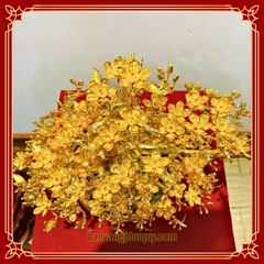 Mai vàng Phú Quý - MVPQ25