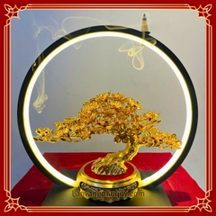 Mai Vàng Phú Quý - MVPQ024