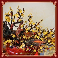 Mai Vàng Phú Quý - MVPQ02