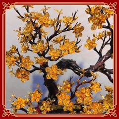 Mai Vàng Phú Quý - MVPQ023