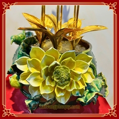 Lan vàng Phú Quý - MVPQ31