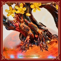 Mai Vàng Phú Quý - MVPQ02