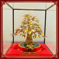 Bồ Đề Bình An - BĐBA02