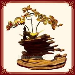 Lan vàng phú quý LVP theo yêu cầu LVYC01