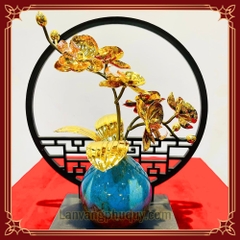 Lan vàng An Nhiên - PVPQ08