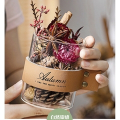 CITTA Hộp Quà Tinh Dầu Thơm Khuếch Tán Trang Trí PLANT SPIRIT Decor Bàn Làm Việc