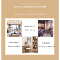 CITTA TInh Dầu Thơm Phong Cách Bắc Âu NORDIC STYLE 50 ml Hoa Khuếch Tán Hương Thơm Tự Nhiên
