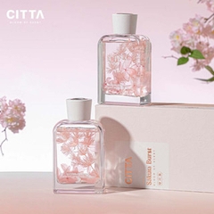 CITTA Tinh Dầu Thơm Cao Cấp SAKURA BURST Hương Hoa Anh Đào Mùa Xuân
