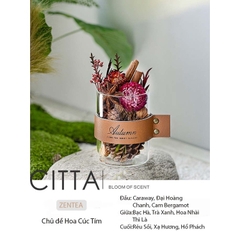 CITTA Hộp Quà Tinh Dầu Thơm Khuếch Tán Trang Trí PLANT SPIRIT Decor Bàn Làm Việc