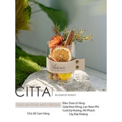 CITTA Hộp Quà Tinh Dầu Thơm Khuếch Tán Trang Trí PLANT SPIRIT Decor Bàn Làm Việc