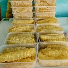 Hải sản cao cấp- Hải sâm ngậm vàng