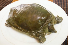 Đặc sản baba