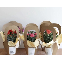Set 5 cái túi giấy kraft cắm hoa, túi giấy đựng hoa, gói hoa, cây cảnh, quà tặng