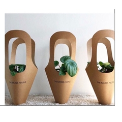 Set 5 cái túi giấy kraft cắm hoa, túi giấy đựng hoa, gói hoa, cây cảnh, quà tặng