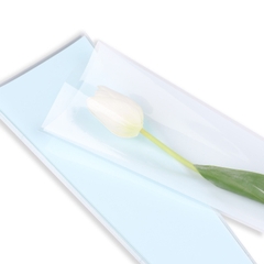 Xấp 20 túi kiếng đựng cành hoa nhiều màu pastel