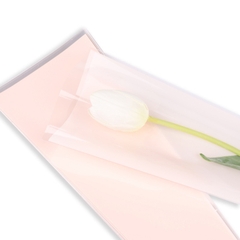 Xấp 20 túi kiếng đựng cành hoa nhiều màu pastel
