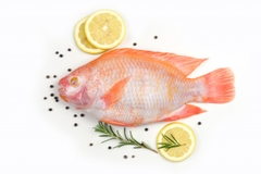 cá diêu hồng 1kg