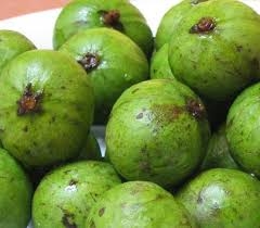 sấu đông lạnh nhỏ 300gram　冷凍ドリアン
