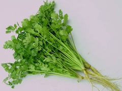 Rau mùi 50g