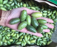 trái nhót　ザボン