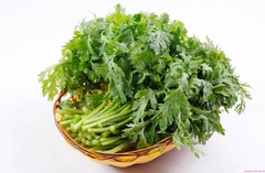rau cải cúc 250gram　春菜