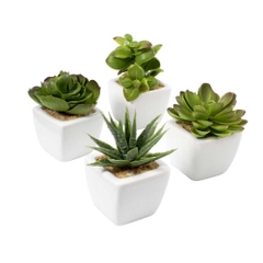 Cây trang trí HAAKON nhựa/gốm 5x5x9cm