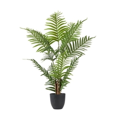 Cây trang trí SANDER xi măng/nhựa PE xanh lá/đen C90cm