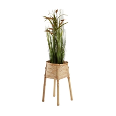 Cây trang trí GODSKE nhựa nhiều màu Ø18xC75cm