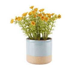 Cây trang trí KALLE nhựa PE/xi măng vàng Ø13xC16cm