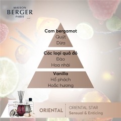 Maison Berger - Tinh dầu đèn xông hương Oriental Star - 500ml