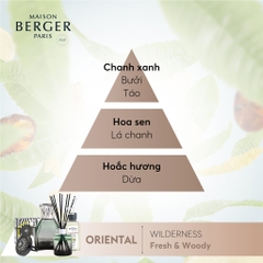 Maison Berger - Bộ kẹp tinh dầu xe hơi Illusion Wilderness - 2 món