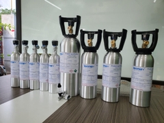 700ppm NO 1300ppm CO 300ppm SO2 Blance N2