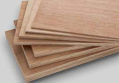 Bột mì chuyên dụng MK-PL