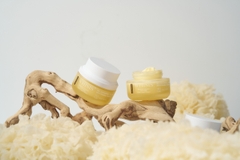 WHISIS So, Repairing vegan whitening Cream Kem Dưỡng Trắng Thuần Chay Whisis