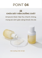 WHISIS So, Derma care vegan ampoule serum Ampoule Serum 2in1 Thuần Chay Whisis