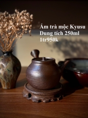 Ấm trà mộc Kyusu