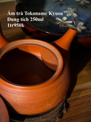 Ấm trà Tokoname Kyusu