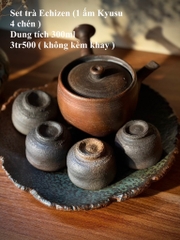 Set trà Echizen (1 ấm Kyusu 4 chén)