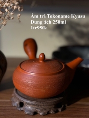 Ấm trà Tokoname Kyusu