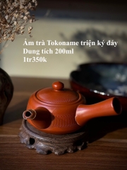 Ẩm trà Tokoname triện ký đáy