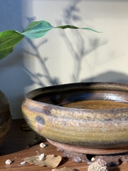 Ang Bizen độc đáo khắc triện