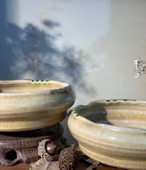 Ang mộc nhỏ loang rêu đế 3 chân